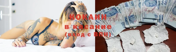 альфа пвп Новодвинск